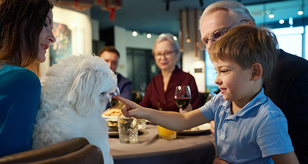 a child petting a dog at a family dinner